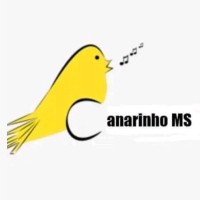 Capa da Rádio Web Canarinho MS