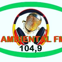Capa da Ambiental FM