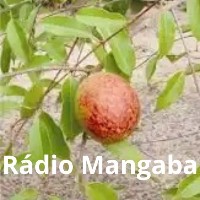 Capa da Rádio Mangaba