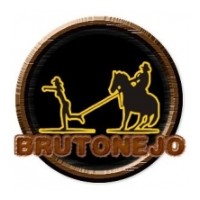 Capa da Rádio Brutonejo