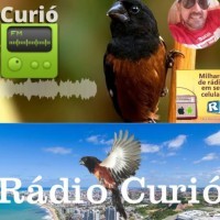 Capa da Curió FM