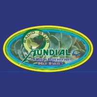 Capa da Rádio Stub Mundial