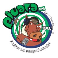Capa da Piuara FM 100.1
