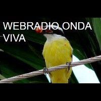 Capa da Onda Viva