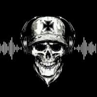 Capa da Rádio Insanos MC