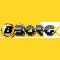 Capa da Rádio Borg